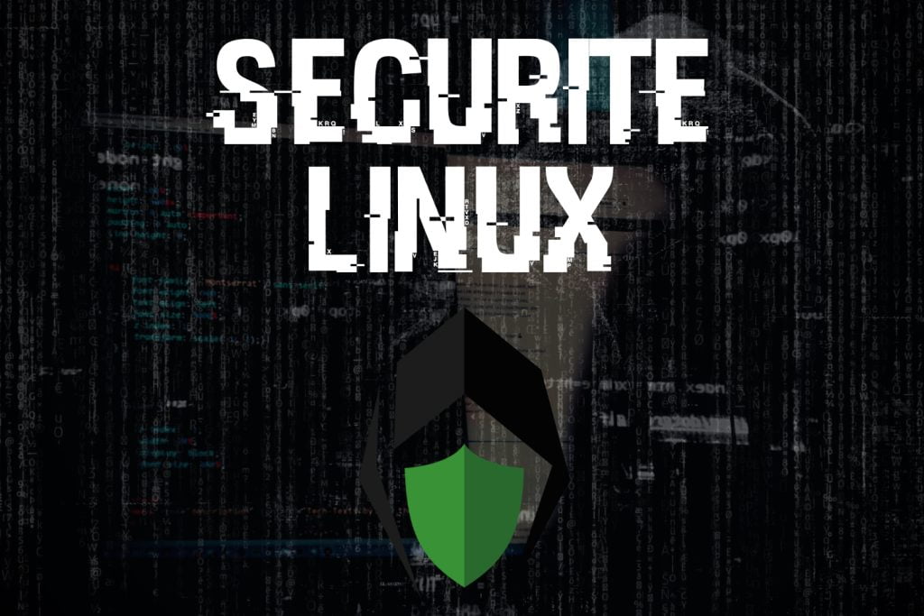 Apprendre Kali Linux cybersécurité formation sécurité Linux Hafnium sécurité informatique hacker hacking